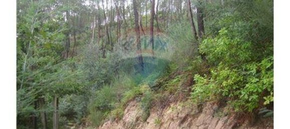  قطعة أرض في Terras de Bouro, Portugal 27800متر مربع رقم 36747 6