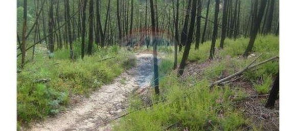  قطعة أرض في Terras de Bouro, Portugal 27800متر مربع رقم 36747 18