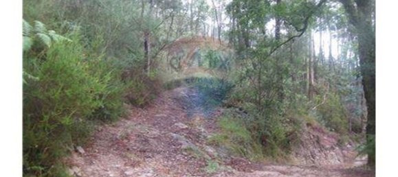  قطعة أرض في Terras de Bouro, Portugal 27800متر مربع رقم 36747 11