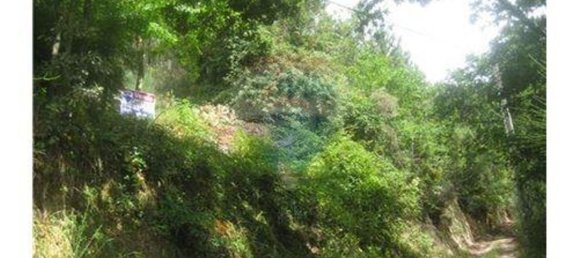  قطعة أرض في Terras de Bouro, Portugal 27800متر مربع رقم 36747 21