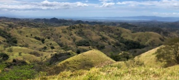 Land for sale in Puntarenas, Costa Rica № 1901 2