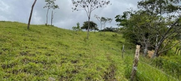 Land for sale in Puntarenas, Costa Rica № 1901 5