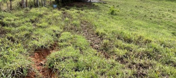 Land for sale in Puntarenas, Costa Rica № 1901 6