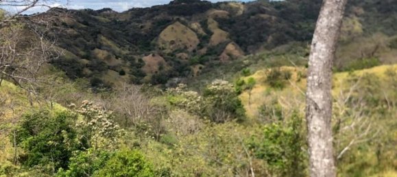 Land for sale in Puntarenas, Costa Rica № 1901 4