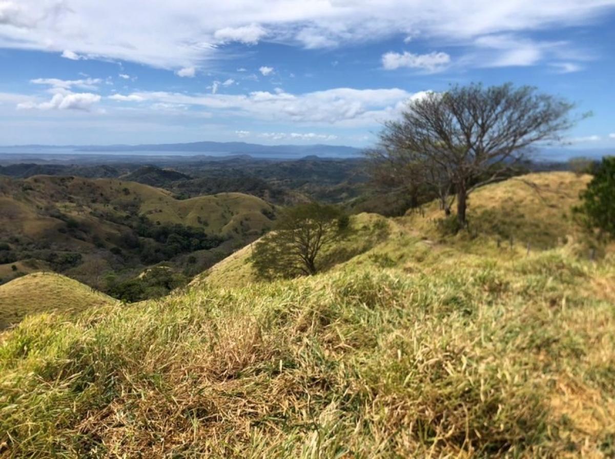 Land for sale in Puntarenas, Costa Rica № 1901