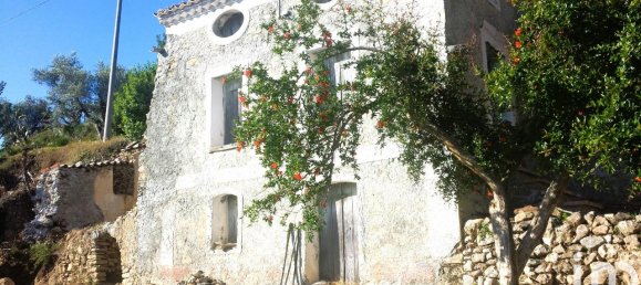 5-Zimmer Haus in Belmonte Calabro, Italy, Nr. 29020 4