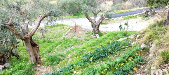 5-Zimmer Haus in Belmonte Calabro, Italy, Nr. 29020 7