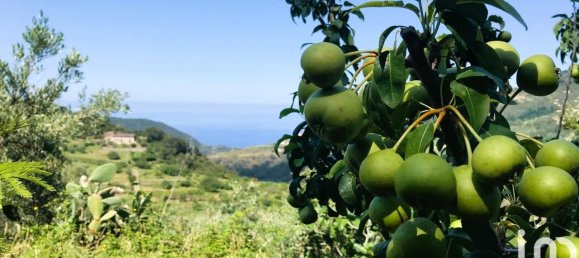 5-Zimmer Haus in Belmonte Calabro, Italy, Nr. 29020 9