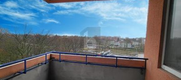 2-Zimmer Wohnung in Hamburg-Mitte, Germany, Nr. 264662 5