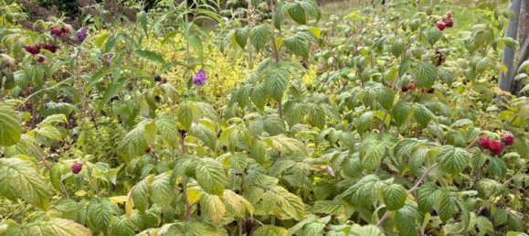 7 rooms Townhouse in Waldshut, Germany No. 309698 3