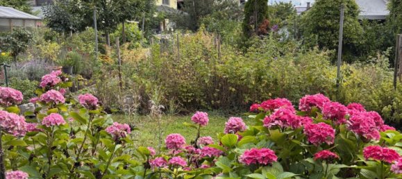 7 rooms Townhouse in Waldshut, Germany No. 309698 14