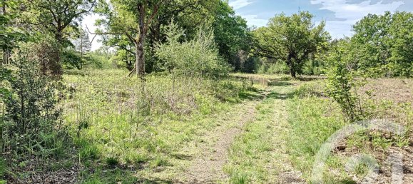 Grundstück in Nouan-le-Fuzelier, France, Nr. 38643 9