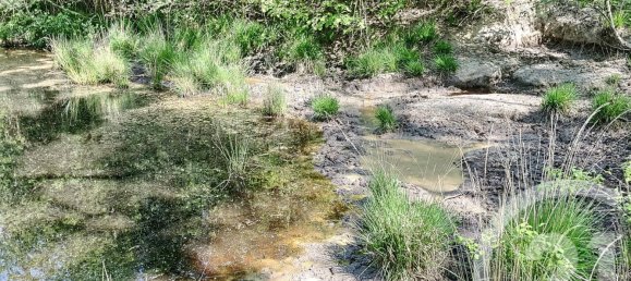 Grundstück in Nouan-le-Fuzelier, France, Nr. 38643 4