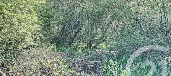 Grundstück in Nouan-le-Fuzelier, France, Nr. 38643 6