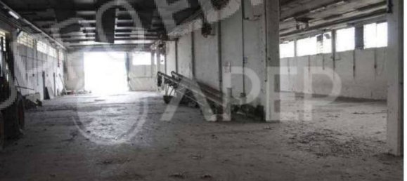5 rooms Warehouse in Correzzola, Italy No. 267100 9