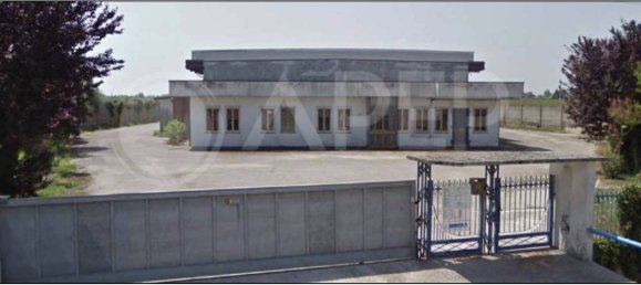 5 rooms Warehouse in Correzzola, Italy No. 267100 3