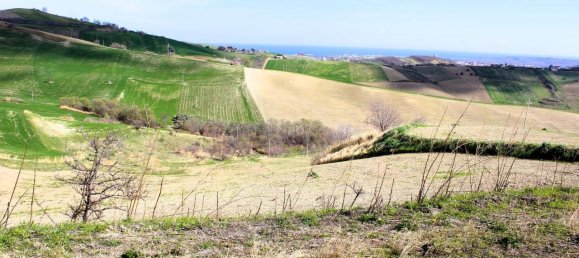 Дом с 5 комнатами в Купелло, Италия № 128467 47