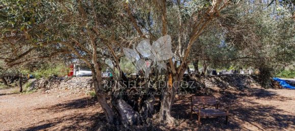 3 Schlafzimmer Haus in Faro, Portugal, Nr. 138840 22