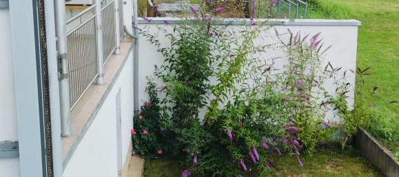 7-Zimmer Stadthaus in Neuwied, Germany, Nr. 353884 13