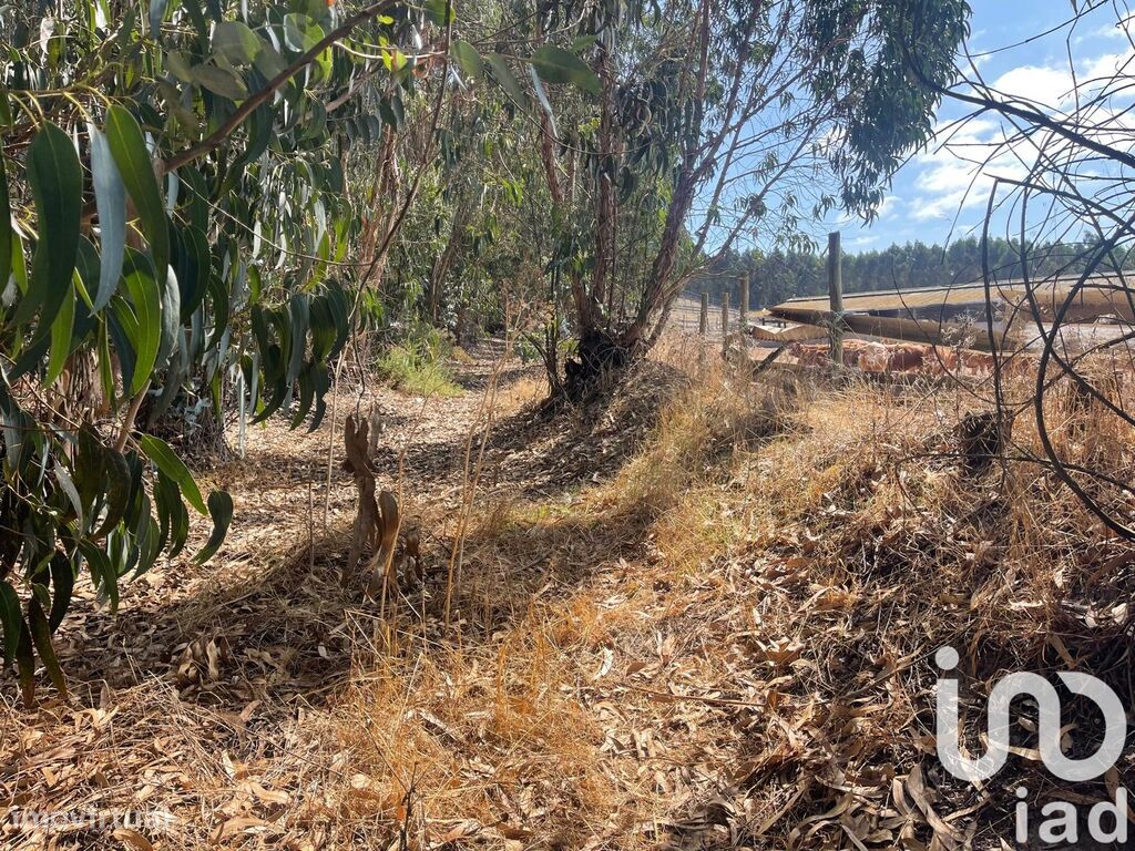 24955m² Land in Torres Vedras, Portugal No. 337684