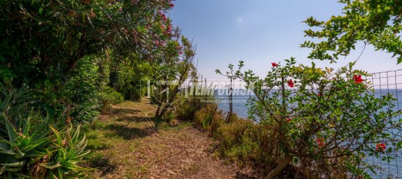 5-Zimmer Villa in Imperia, Italy, Nr. 323102 16