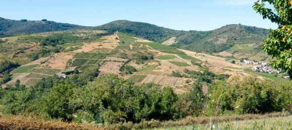 3 غرف نوم منزل في Rhone, France رقم 339256 8