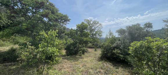 Terreno em Apt, France 7932 m² N.º 62815 11