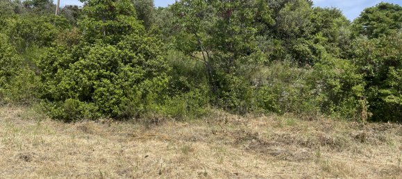 Terreno em Apt, France 7932 m² N.º 62815 13