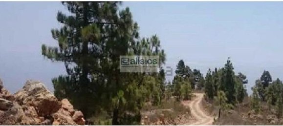 Grundstück in Arico, Spain 39180m², Nr. 180418 6