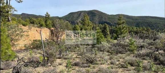 Grundstück in Arico, Spain 39180m², Nr. 180418 5