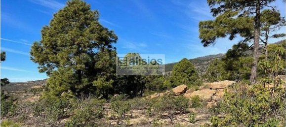 Grundstück in Arico, Spain 39180m², Nr. 180418 2