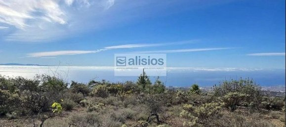 Grundstück in Arico, Spain 39180m², Nr. 180418 3