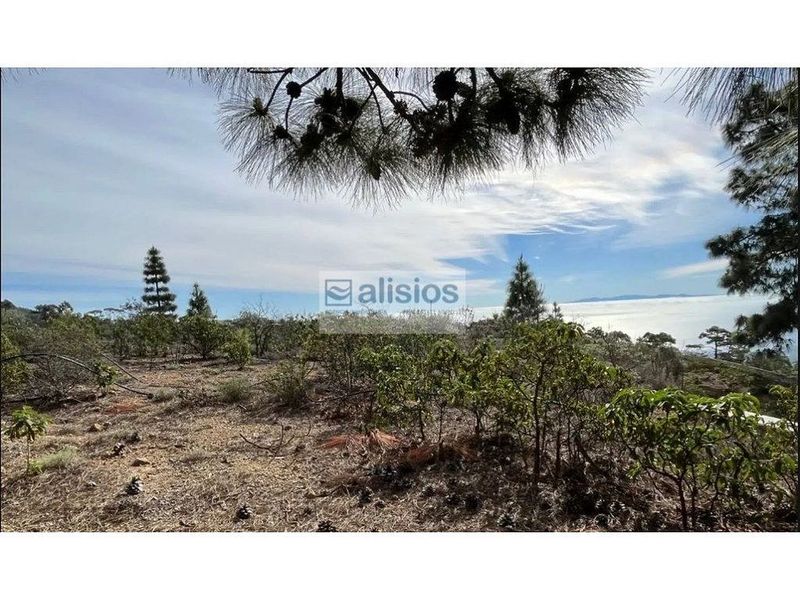 Grundstück in Arico, Spain 39180m², Nr. 180418