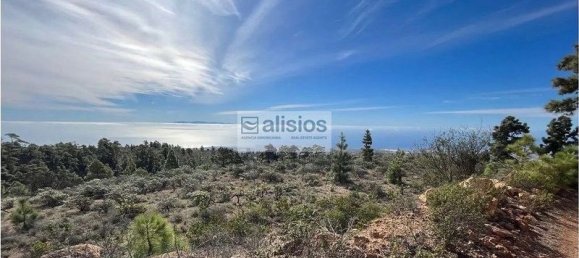 Grundstück in Arico, Spain 39180m², Nr. 180418 4