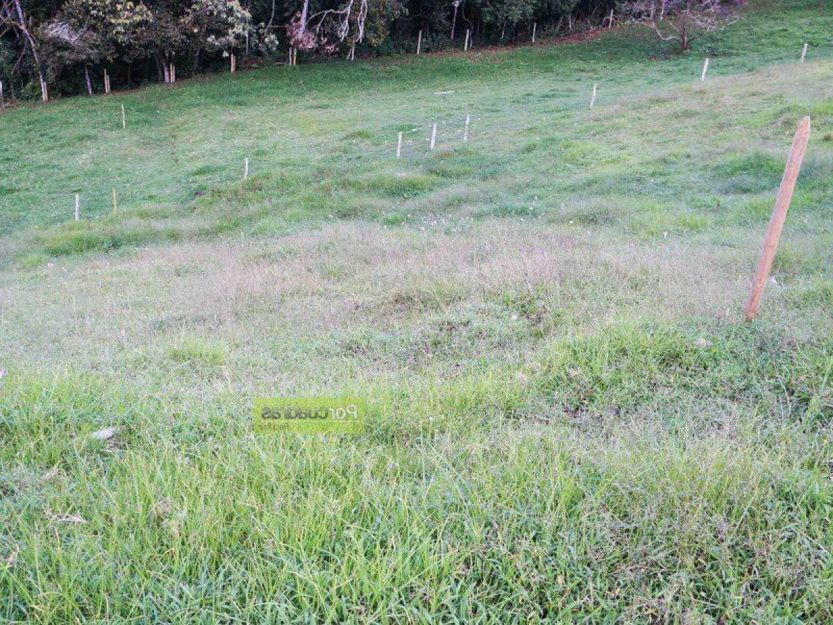  Land in Antioquia, Colombia No. 693