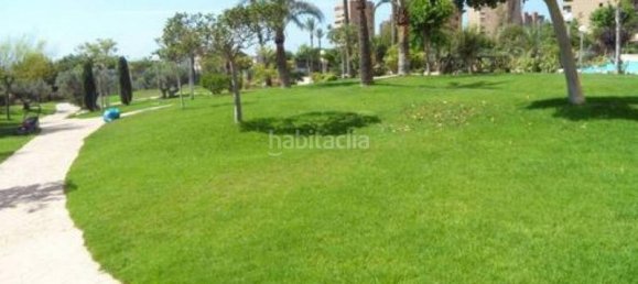 4 Schlafzimmer Penthouse in Benidorm, Spain, Nr. 74686 26