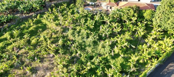 Grundstück in Calheta, Portugal, Nr. 139467 19