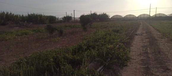 4 rooms House in Pachino, Italy No. 67889 17