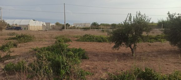 4 rooms House in Pachino, Italy No. 67889 16