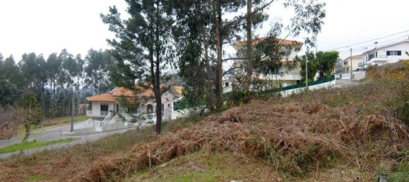 Grundstück in Oliveira de Azemeis, Portugal 339m², Nr. 75242 7