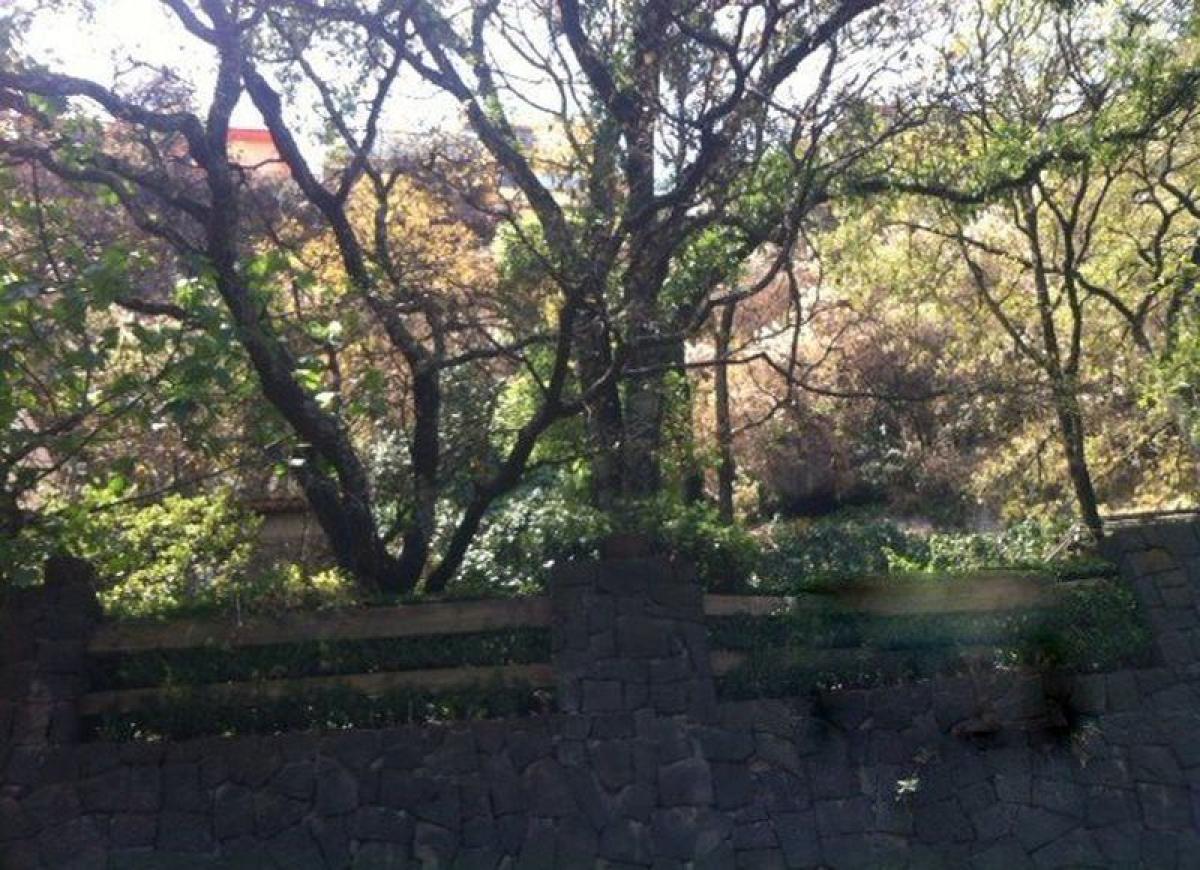 Terreno en Mexico No. 203656