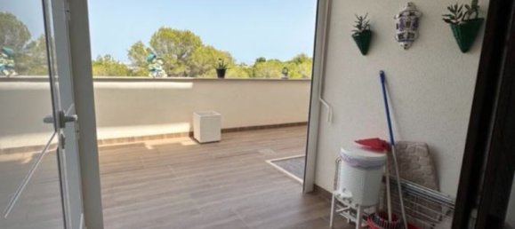 2 bedrooms Bungalow in Torrevieja, Spain No. 188272 14
