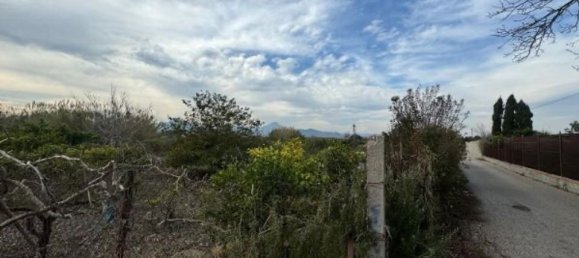 Земельный участок 1433м² в Даймус, Испания № 185841 4