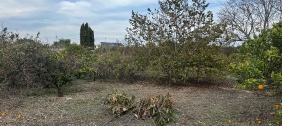 Земельный участок 1433м² в Даймус, Испания № 185841 2