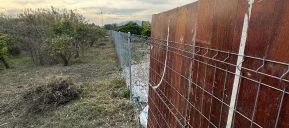 Земельный участок 1433м² в Даймус, Испания № 185841 6