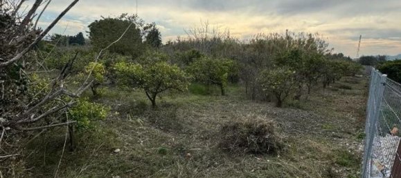 Земельный участок 1433м² в Даймус, Испания № 185841 7