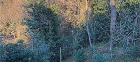 4 bedrooms Villa in Conegliano, Italy No. 75918 2