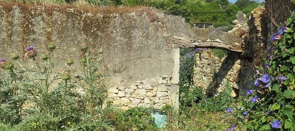 4 Schlafzimmer Haus in Tomar, Portugal, Nr. 22150 13