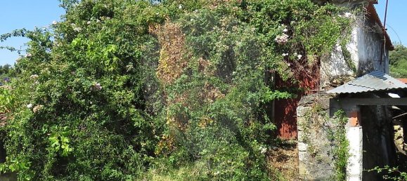 4 Schlafzimmer Haus in Tomar, Portugal, Nr. 22150 7