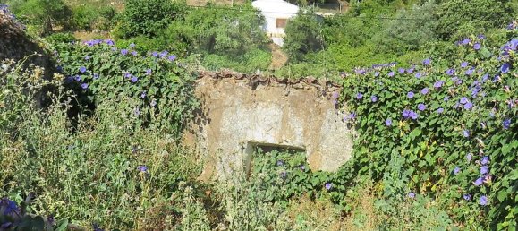 4 Schlafzimmer Haus in Tomar, Portugal, Nr. 22150 17